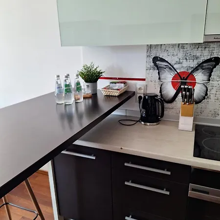 Karolewska Apartamento